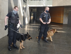 Trening policyjnych psów służbowych na UJ